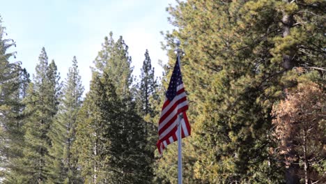 american flag waving in the wind with green forest in the background