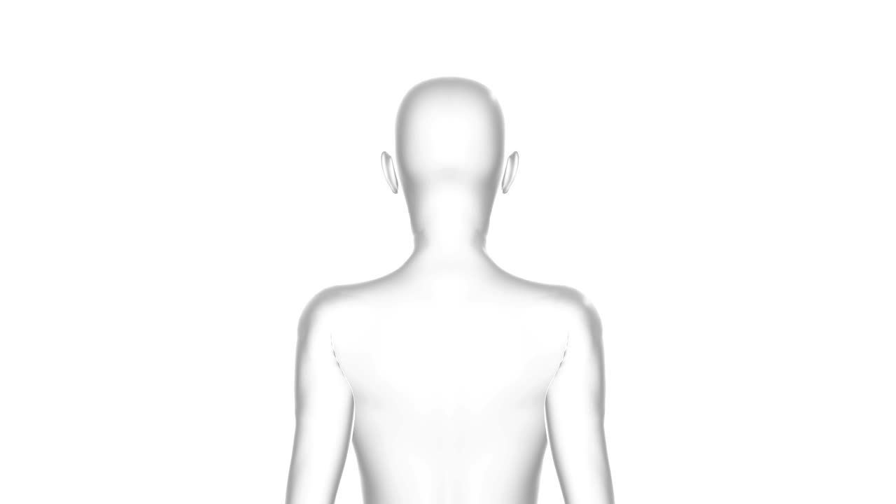 여성, 여성 인체, 3d 모델, 원활한 루프