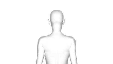 woman, female human body, 3d model, seamless loop