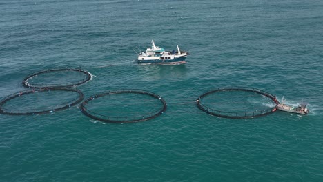 a mid sized marine vessel tows four fish farms along the west australian coast.