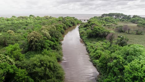 drone shot following the meandering river lined with dense green vegetation in punta lara, buenos aires.