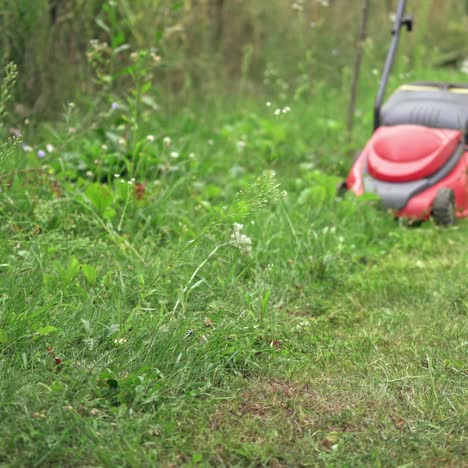 lawn mower on green grass