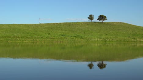 reflection of rolling hills and trees on calm water surface