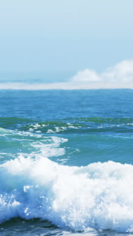 surfers surfing in sea