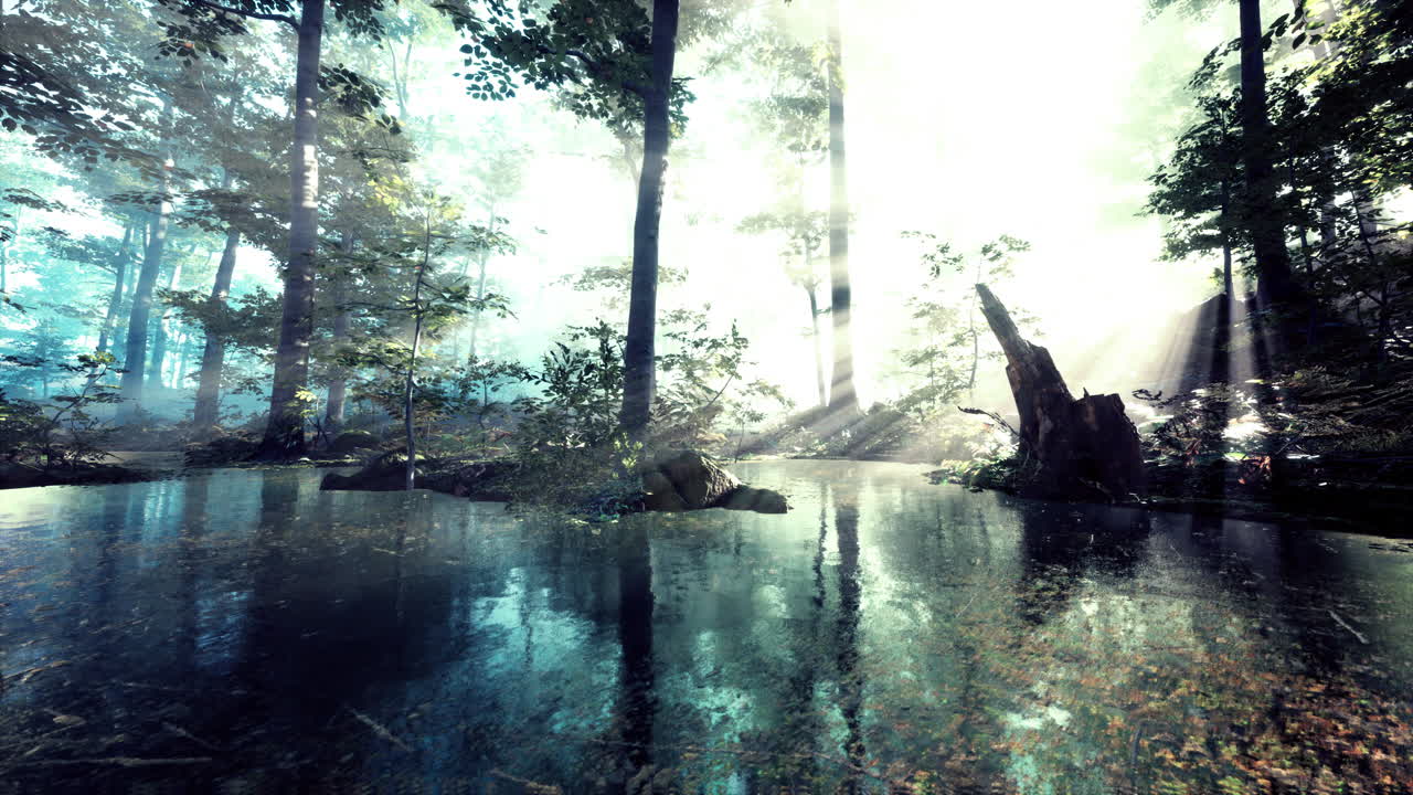 호수 숲 위의 안개 같은 새벽