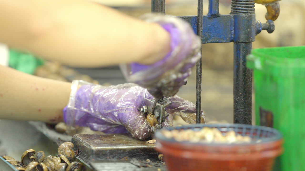 Worker extracting cashew nut at a factory in Phuket, Thailand