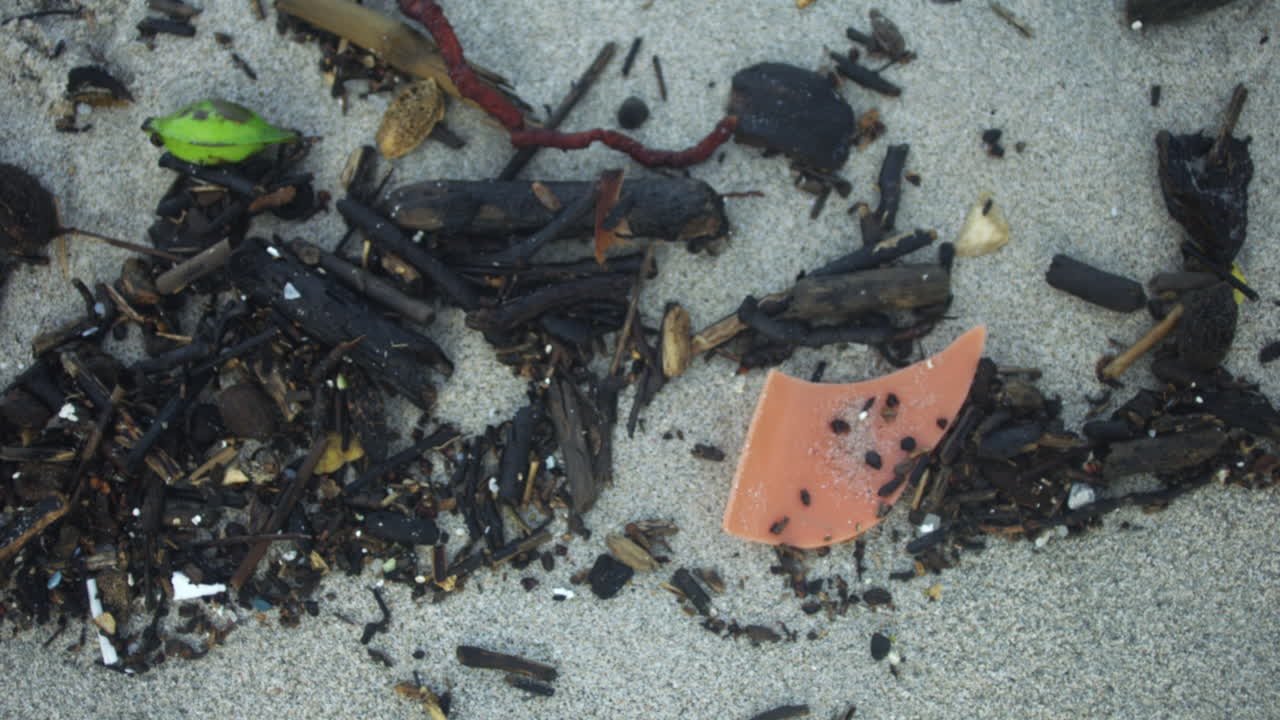 모래와 쓰레기의 세부 촬영