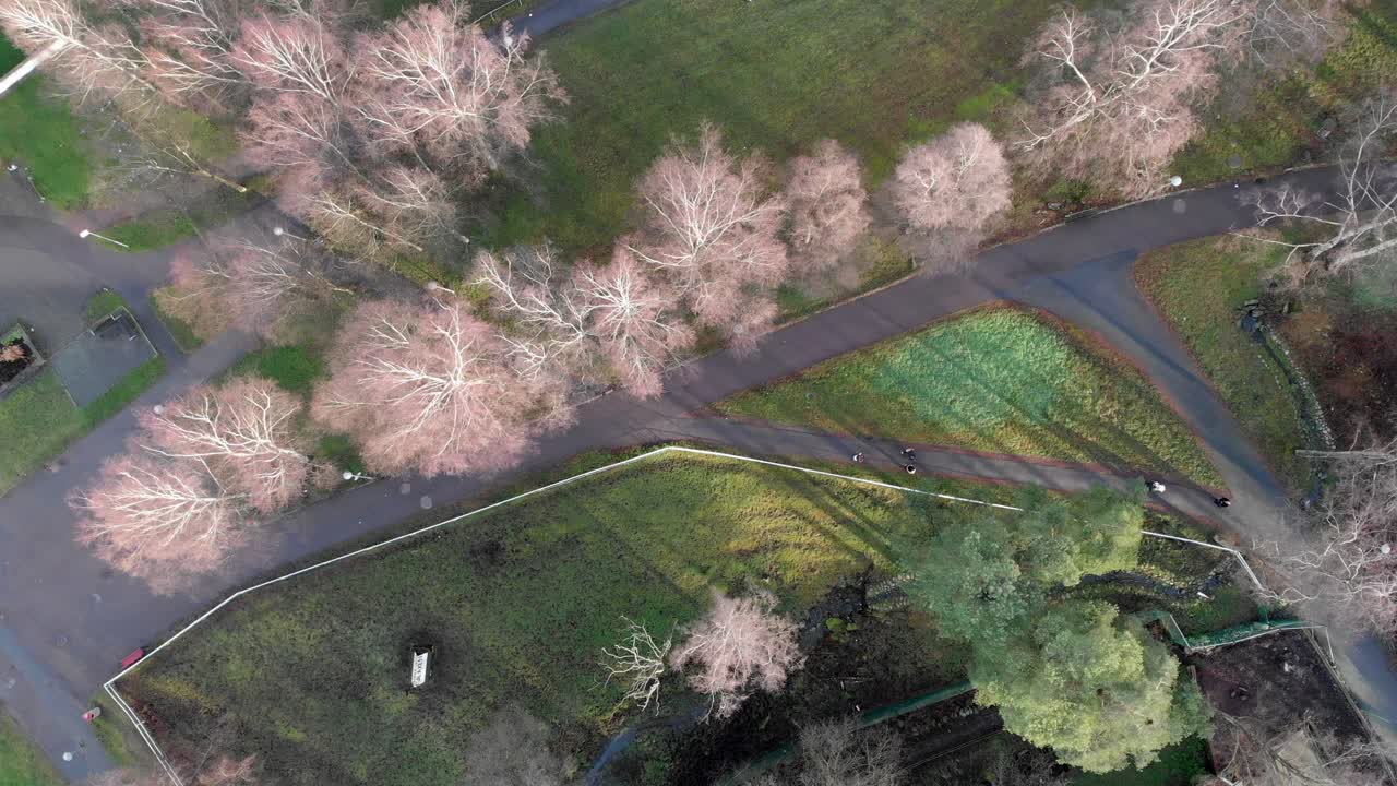 도시 공공 정원에서 방황하는 개인에 대한 하강 공중 회전