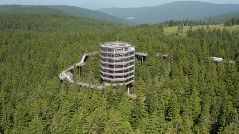 Vista-Del-Paseo-Por-La-Copa-Del-árbol-Pohorje-En-La-Montaña-Densamente-Arbolada-En-Rogla,-Eslovenia