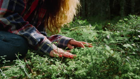 Woman-hands-touching-green-grass-in-forest