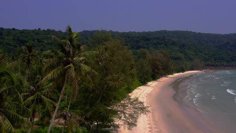 Tropical-palm-tree-jungle-on-the-Koh-Kood-beach-coastline-in-Thailand