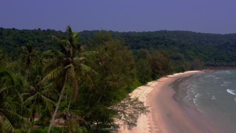 tropical palm tree jungle on the koh kood beach coastline in thailand
