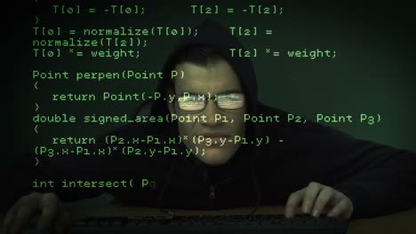 ladrón pirateando la computadora