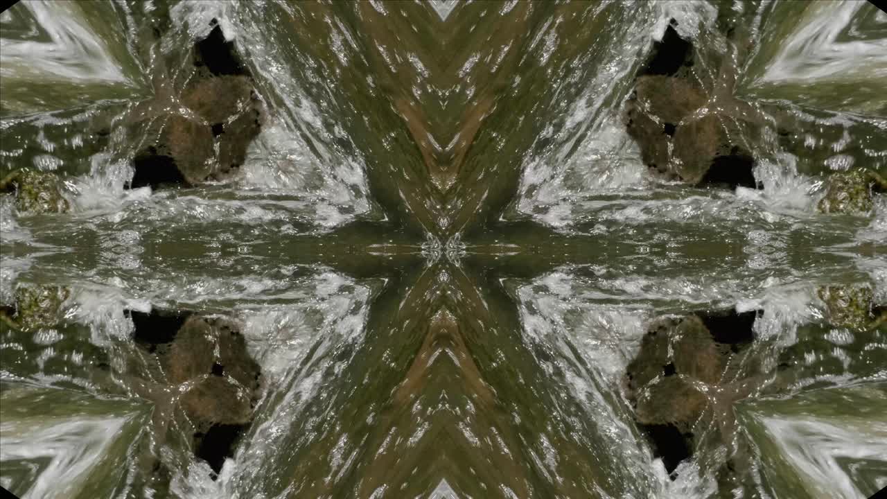 caleidoscopio de tomas de la naturaleza, wissahickon creek