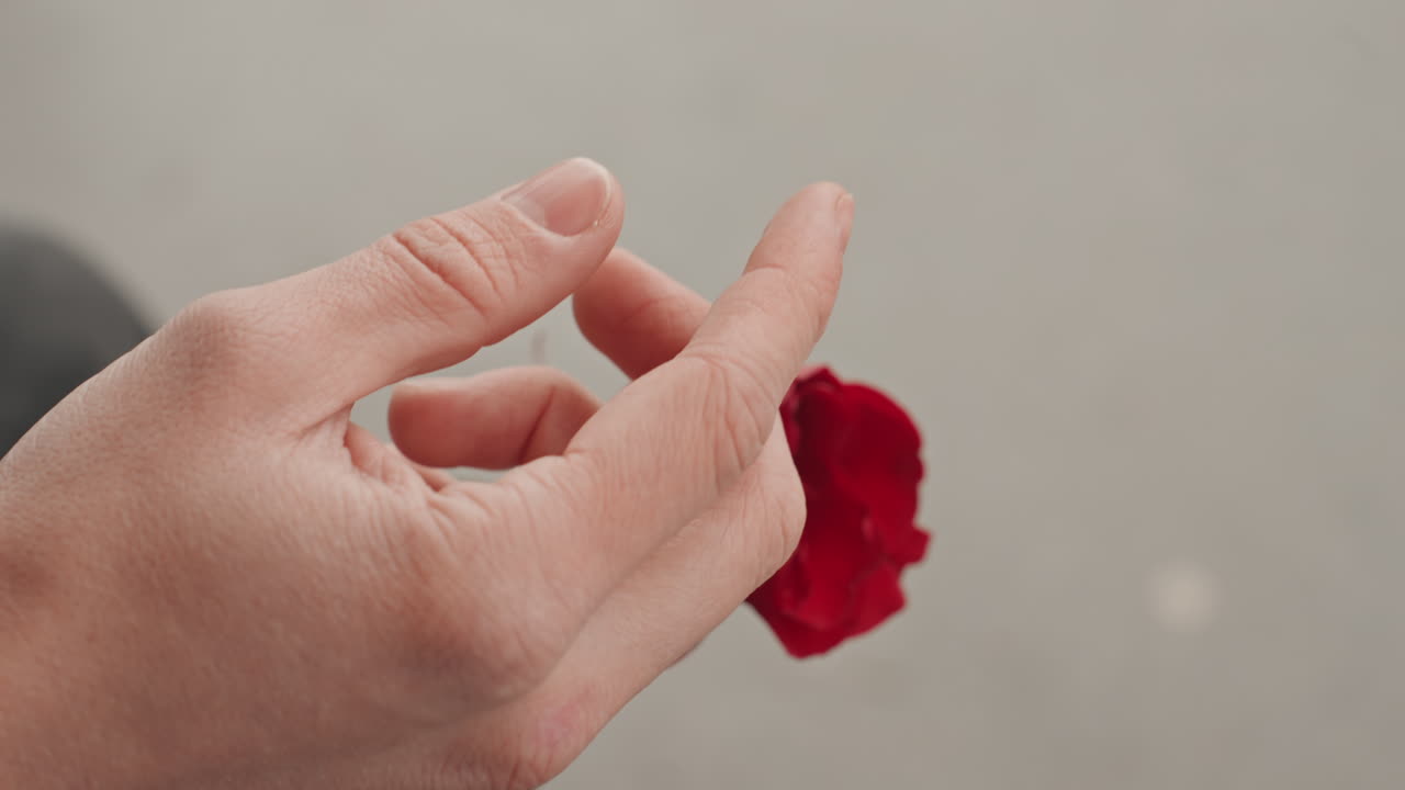 Hands craft floral art. Hands manipulate rose stem composition. Closeup of hands arranging red flower stem. Artistic focus on hands skillfully composing red rose stem against neutral background