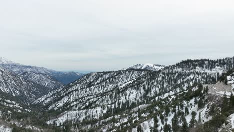 straight-up-motion-on-mountain-covered-on-snow-with-pines-and-sun-light-touching-the-top