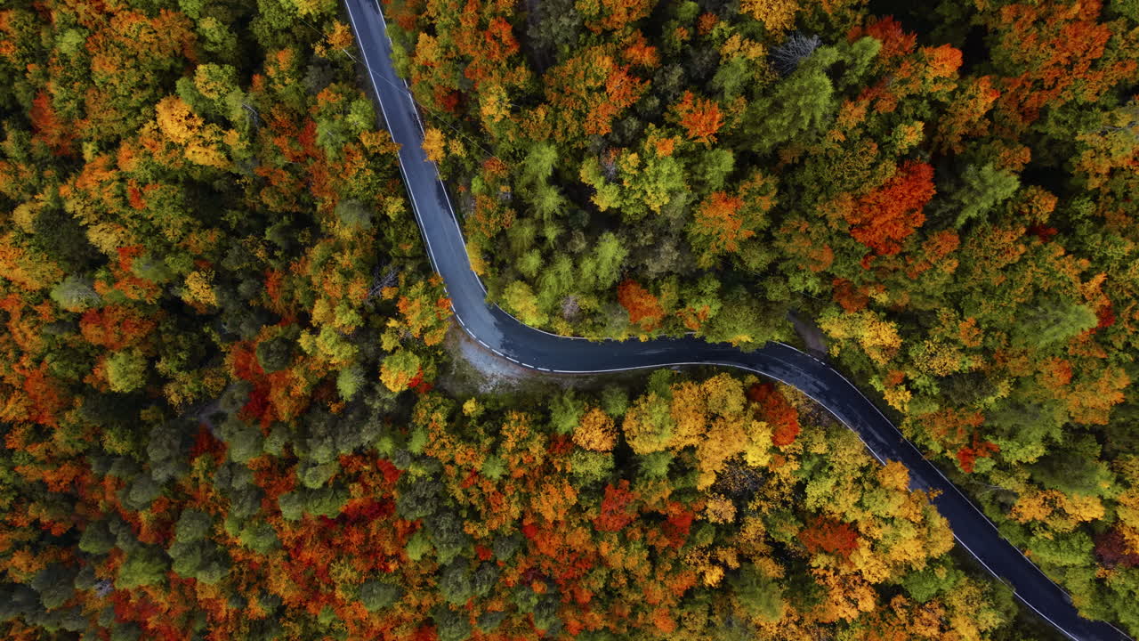 Aerial of winding road amidst vibrant autumn foliage in Italian Alps