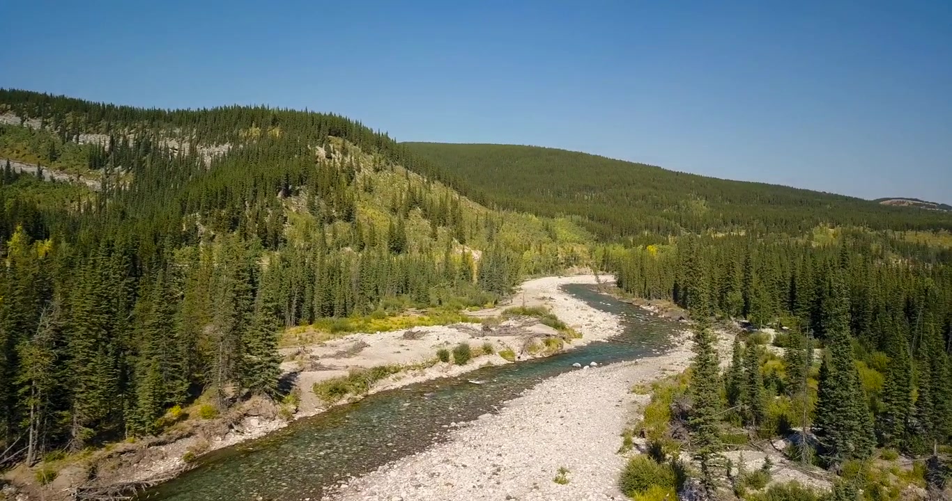 Inquadratura aerea diurna semi-ampia che sorvola le anse di un fiume impetuoso e scosceso, tra gli alberi di una pineta estiva, tra le cime delle Montagne Rocciose in Alberta, Canada