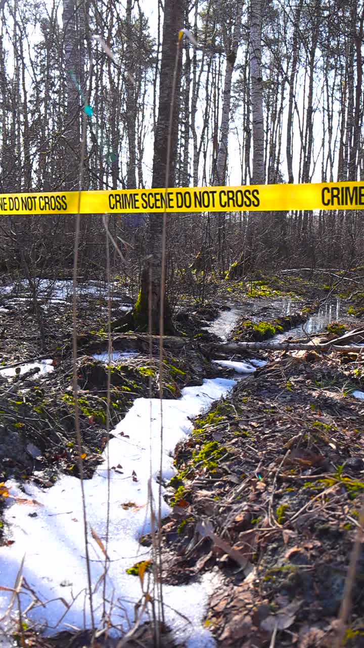 Yellow police tape reading crime scene do not cross cordoning off an area in a spring forest with melting snow, fallen leaves, and moss covering the ground near a small stream