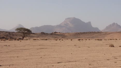 Sahara-of-Algeria