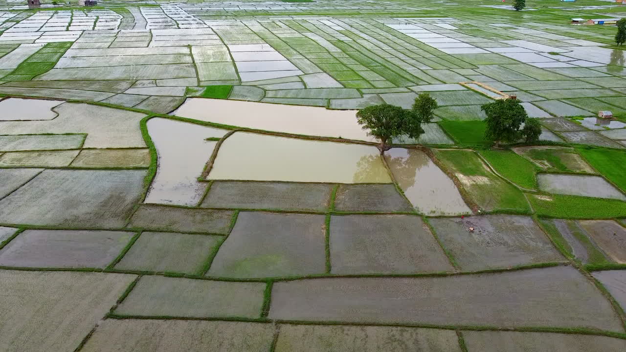 bloques de tierras cultivadas con arrozales en nepal
