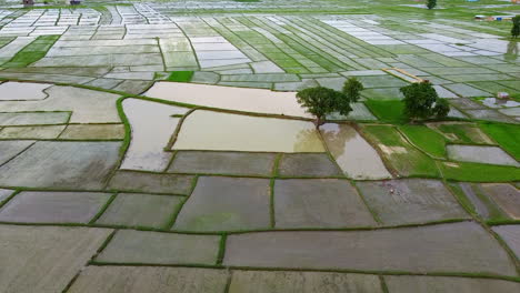 Bloques-De-Tierras-Cultivadas-Con-Arrozales-En-Nepal