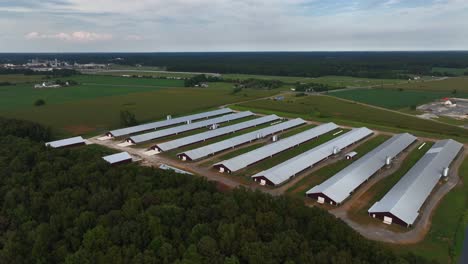 An-aerial-view-of-eight-long-farm-buildings,-parallel-to-each-other-with-metal-roofs