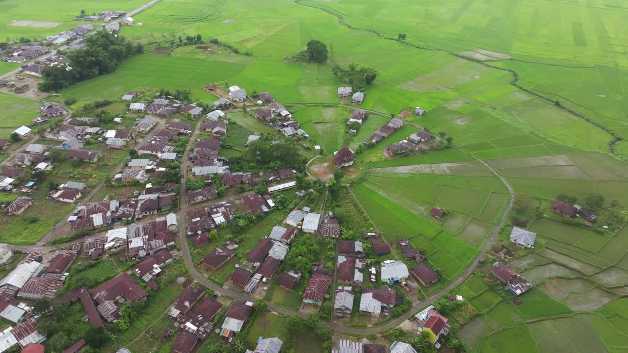 Terasering sawah berbentuk kipas membentang di Ruteng, Flores, Indonesia