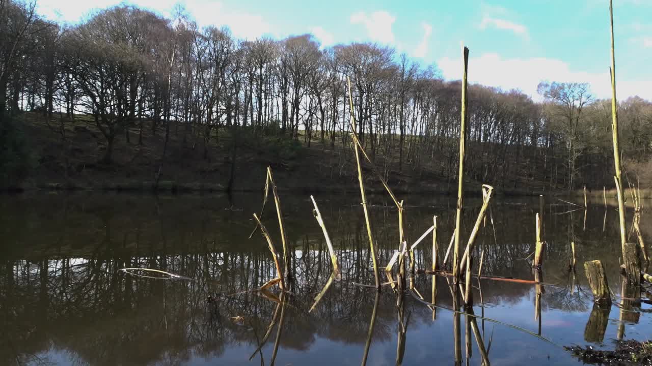 hermosas escenas del campo y el río lancashire