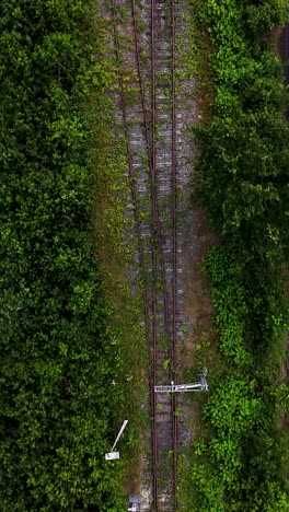 Aerial View of Train Tracks Surrounded by Lush Green Foliage