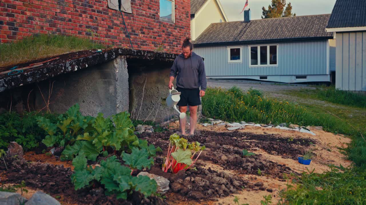 Man Watering Growing Organic Plants In A Yard. Wide Shot