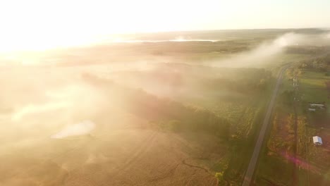 Early-morning-mist,-grasslands,-rainforest-and-pine-trees-just-after-sunrise