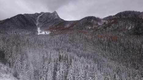 Serene-winter-forest-in-Tatra-mountains-seen-from-cable-car-to-Kasprowy-Wierch,-Poland