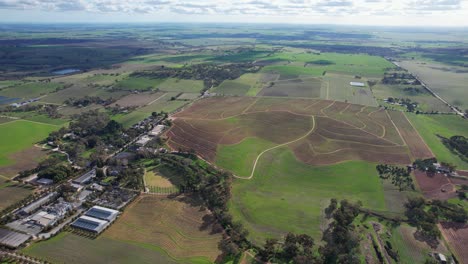 campos verdes en el valle de barossa, australia del sur - panorámica aérea