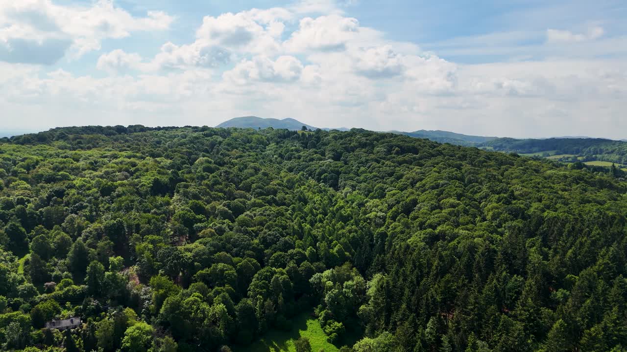 Drone flying towards blue sky and mountains on horizon, tilting down to show top down treetop view