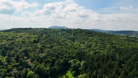 drone flying towards blue sky and mountains on horizon, tilting down to show top down treetop view