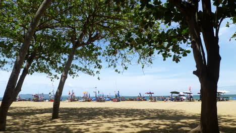 blick auf eine strandpromenade unter den schatten der bäume, die farbenfrohe banner auf hölzernen stangen anschauen, die vom wind neben strandschirme geblasen werden