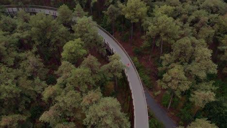 Drone-shot-of-Fietsen-door-de-bomen-Belgium-with-woman-cycling-at-path,-aerial