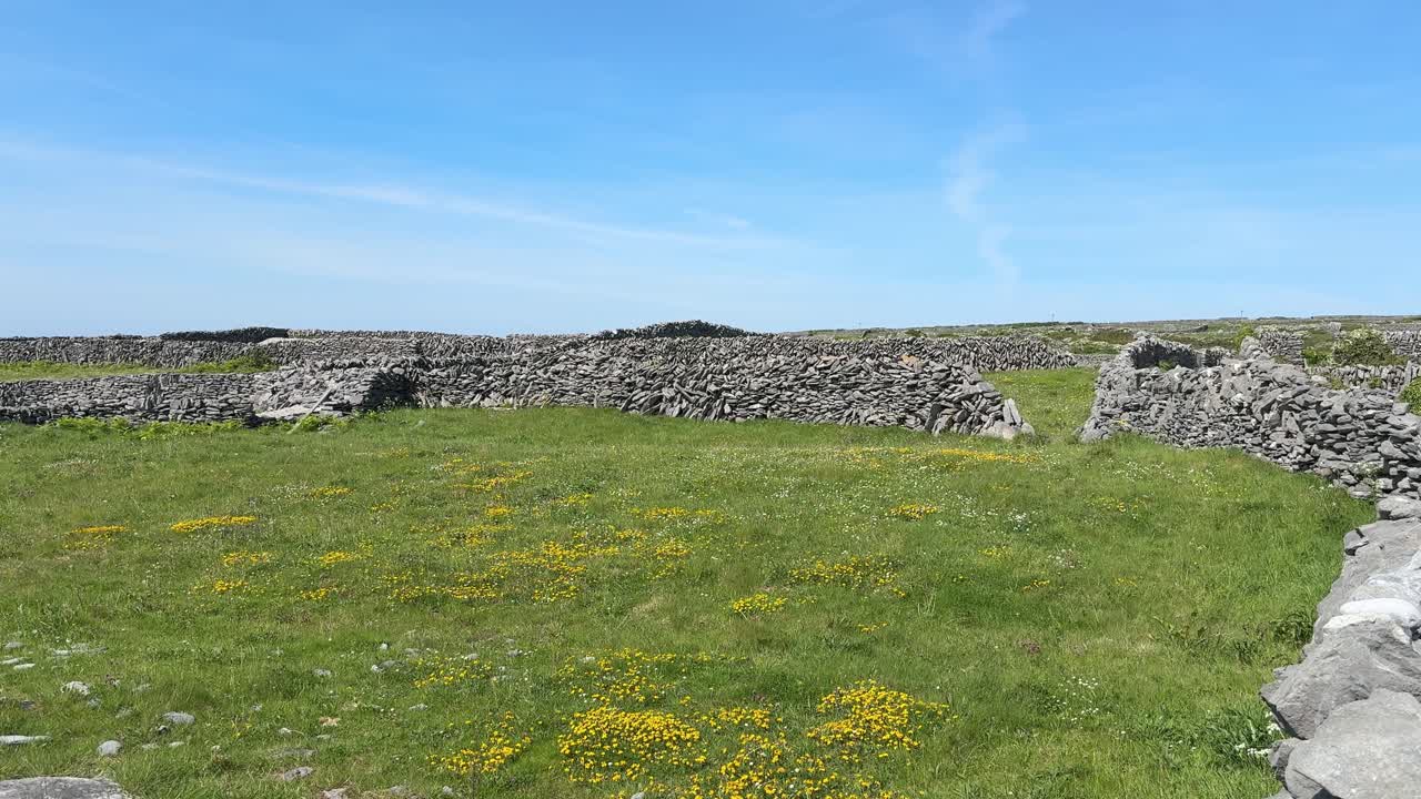 Inisheer, Isole Aran, Irlanda: muri in pietra, erba rigogliosa e cieli blu, estate in Irlanda. Luoghi epici sulla Wild Atlantic Way