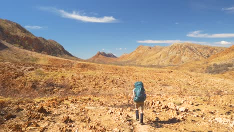 hiker walking in desert landscape with distant mountains, central australia