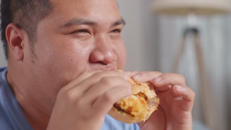 close up of a fat asian man eating fast food having a hamburger on a sofa in the living room at home