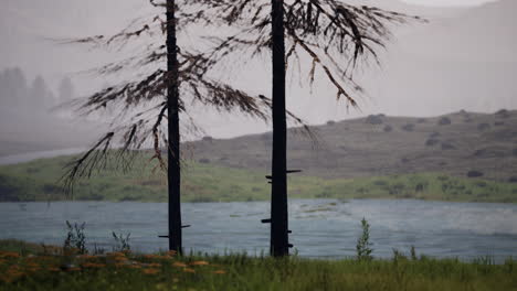 Wunderschöne-Berglandschaft-In-Den-Karpaten