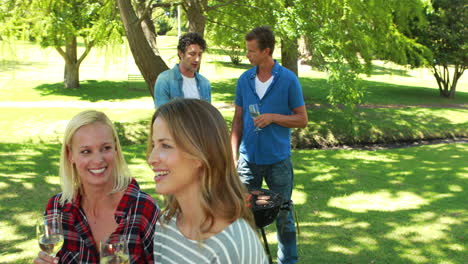 Amigos-En-El-Parque-Haciendo-Barbacoa