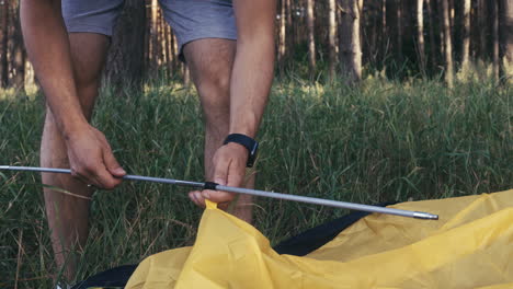 family camping in the nature