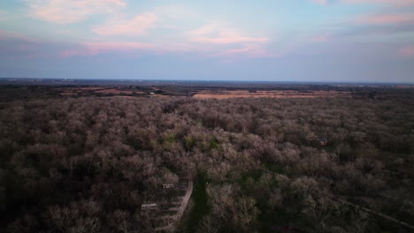 Panoramablick-Auf-Tieflandwaldbäume-Im-Nationalpark-Bei-Sonnenuntergang