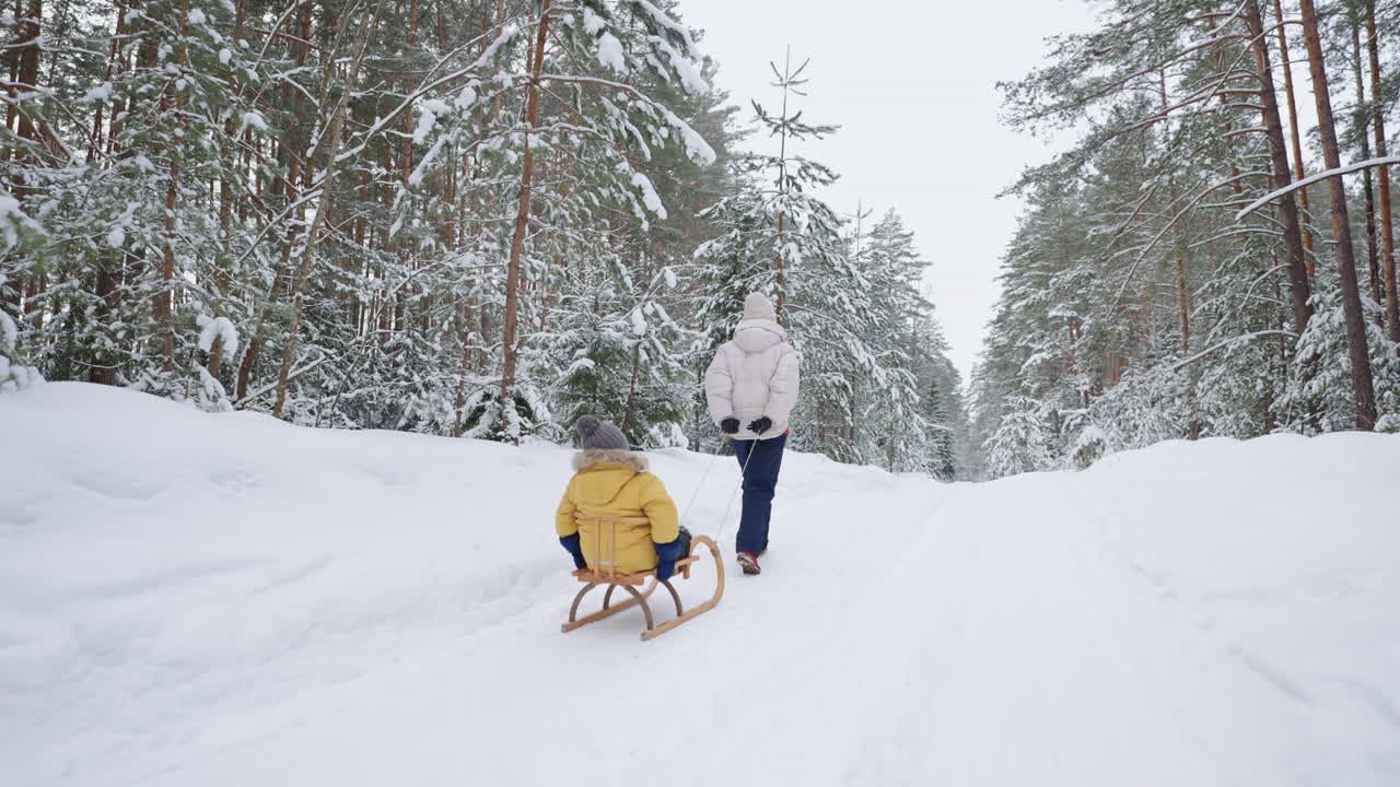 tranquilo bosque de invierno en las vacaciones de navidad madre e hijo están caminando mujer está tirando de trineo