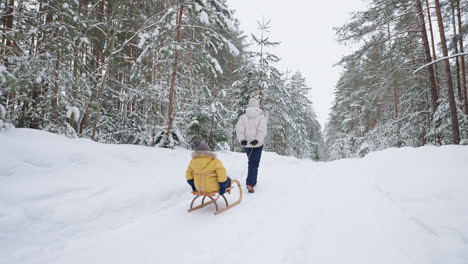 calm winter forest in christmas vacation mother and child are walking woman is pulling sledge