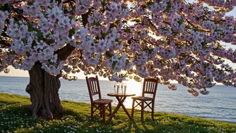 romantic cherry blossom sunset by the sea