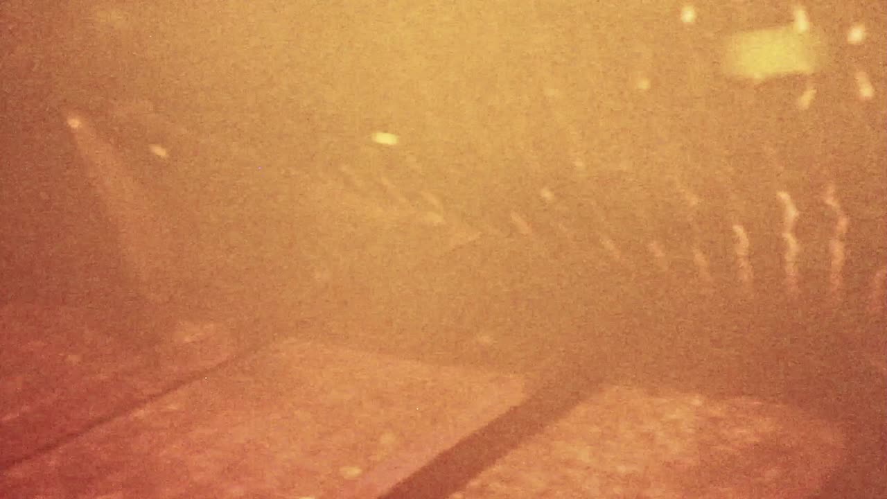 pirarucú pez nombre científico arapaima gigas en el