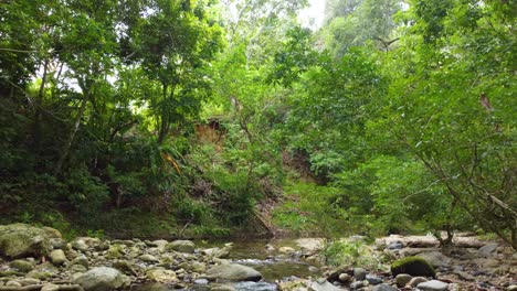 Aguas-En-Cascada-Que-Fluyen-Por-El-Arroyo-Situado-En-La-Exuberante-Selva-Tropical-De-Santa-Marta,-Ubicada-En-Magdalena,-Colombia